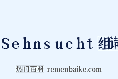 Sehnsucht组词是什么意思的图片